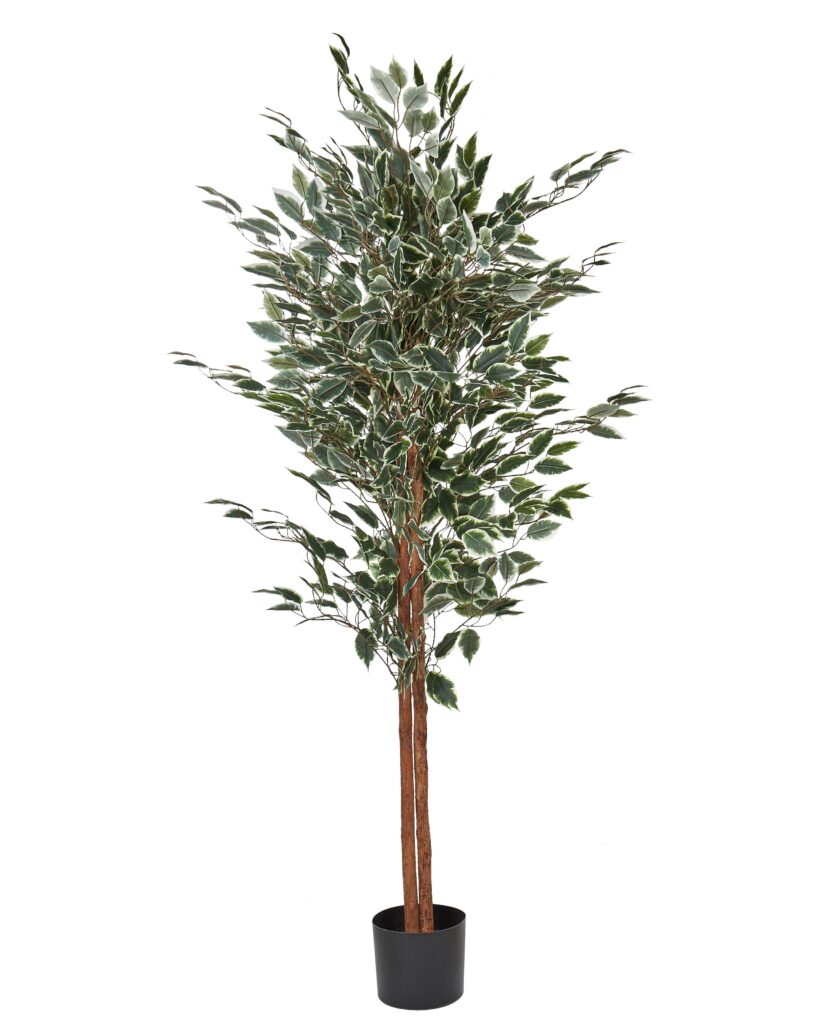 Sztuczna roślina FICUS 167 cm Zielony