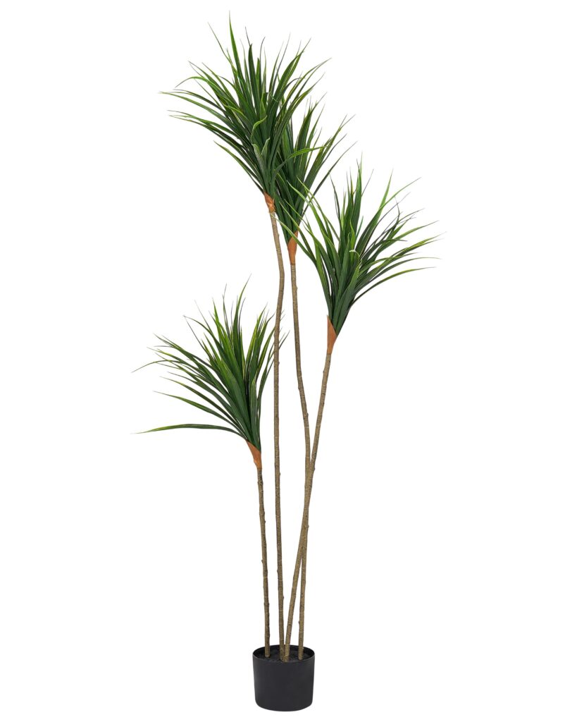 Sztuczna roślina DRACAENA DRACO 165 cm Zielony