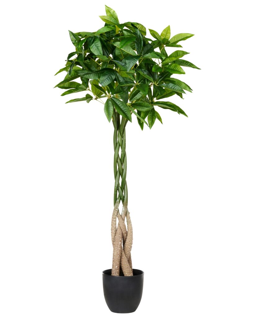 Sztuczna roślina PACHIRA TREE 120 cm Zielony
